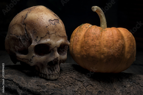 Skull and halloween pumpkin on the timber