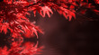 © ver0nicka - red leaves on tree branch. natural autumn background