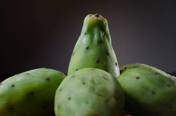 Prickly pear cactus