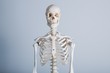 © Jamesbox - White human body bone frame on white background