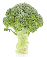 Wall Mural - broccoli isolated on white background