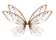 Leinwandbild Motiv Insect cicada wing  isolated on white background