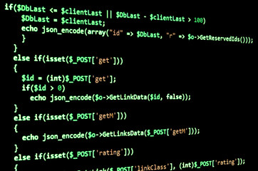 Wall Mural - programming code on black screen, green text
