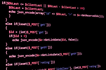 Wall Mural - programming code on black screen, red text