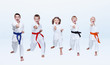 © andreyfire - Five karateka children are beating punch arm