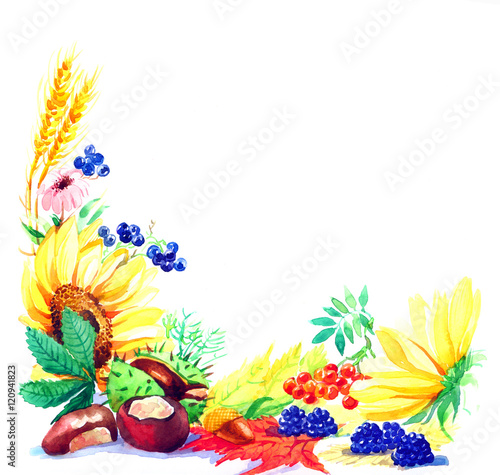 The Composition Of Autumn Leaves With Fruits And Vegetables Made By Hand Drawing Watercolor Isolated On The White Background Post Card Of Autumn Season With Flowers Buy This Stock Illustration And
