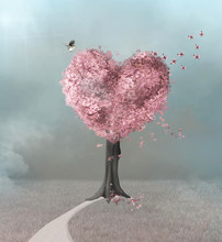 Pathway To The Pink Heart Tree 