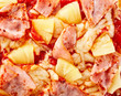 © exclusive-design - Delicious Hawaiian pizza topping background