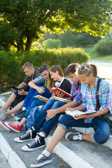 Wall Mural - students in park