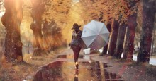 Autumn Landscape City Woman Umbrella Rain Puddles Of Yellow Trees