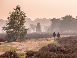 Poster - Couple strolling along path through heathland