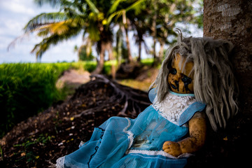 Wall Mural - Close up of scary baby doll of halloween