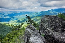 Scenes Along Appalachian Trail In Great Smoky Mountains