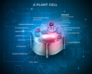 Wall Mural - Plant Cell anatomy scientific background