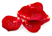 Red Rose Petals With Drops Of Water