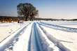 Winter in Podlasie