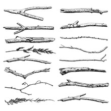 Set Of Driftwood, Ground Floor Hand Drawn Ink Rustic Design Elements Collection. Dry Tree Branches And Wooden Twigs. Vintage Highly Detailed Classic Ink Drawings Bundle Art In Engraved Style. Vector.