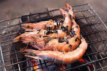 Wall Mural - Grilled prawns on the grill