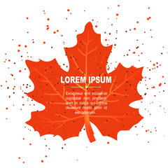 Sticker - autumn maple leaf