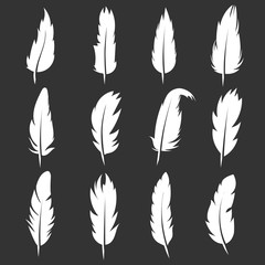 Wall Mural - Vector feather vintage pens on black background