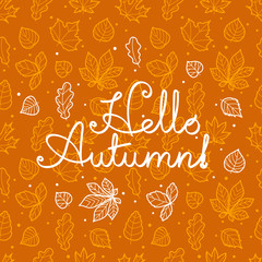 Poster - Different leaves silhouettes autumn concept