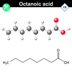 Canvas Print - Caprylic acid molecule