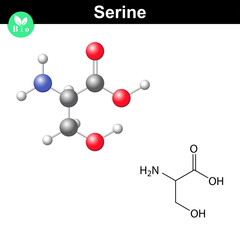 Canvas Print - Serine proteinogenic amino acid