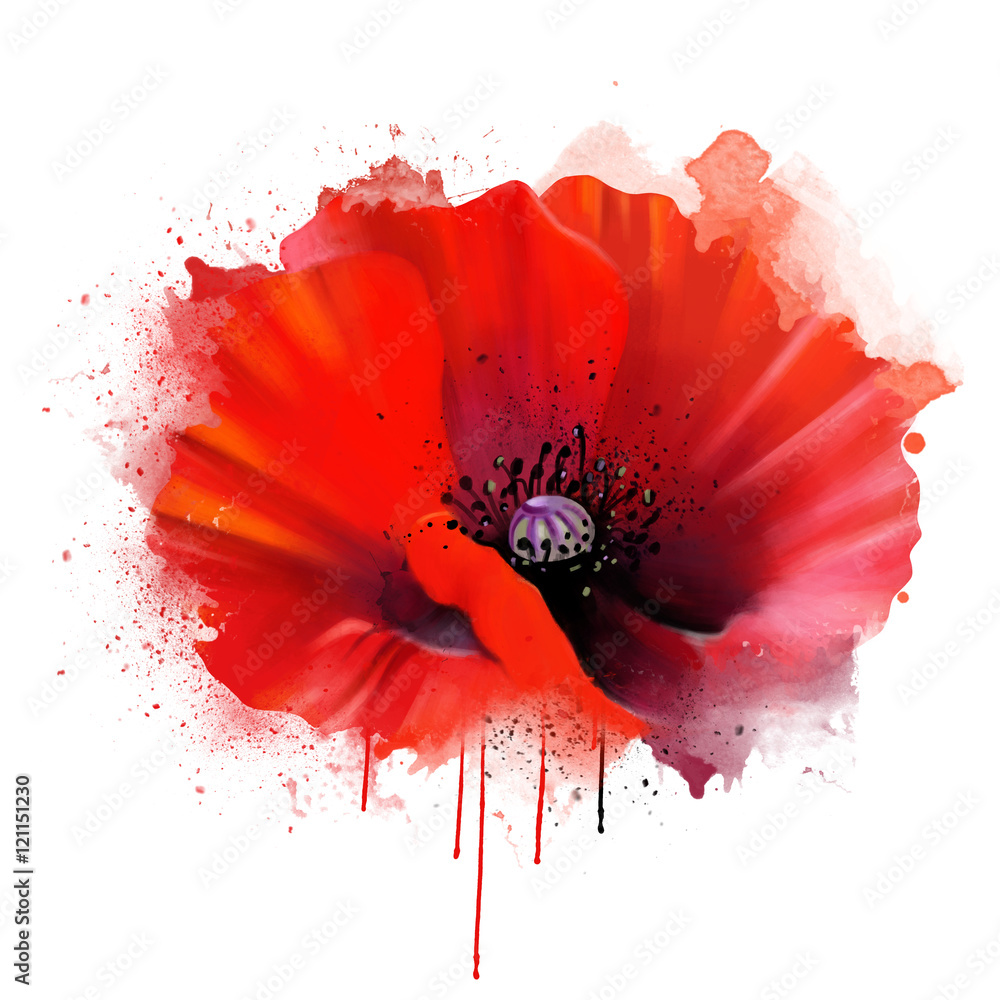 red poppy closeup, isolated on white background, with drips of paint as an artistic concept. Suitable print for garment and printing on notebooks, notebooks. - obrazy, fototapety, plakaty 