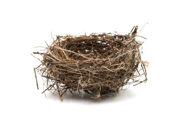 bird's nest isolated