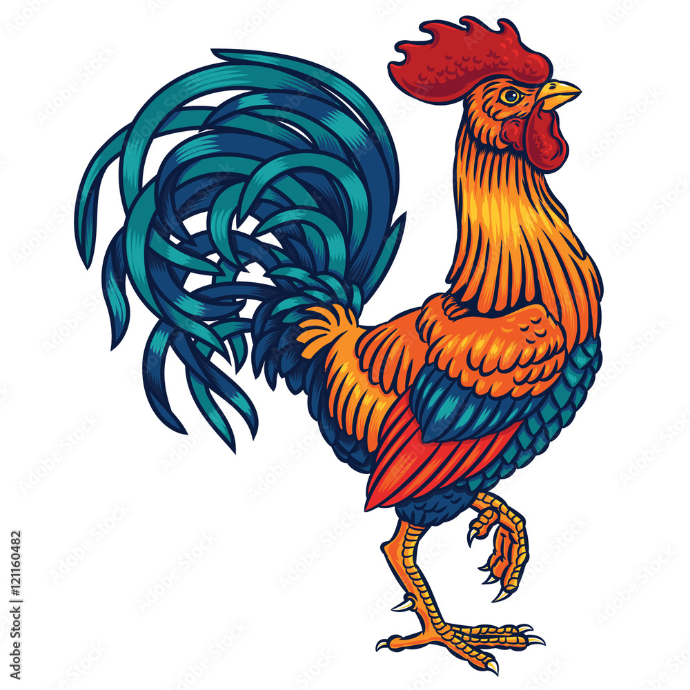 Vector illustration of a rooster Stock Vector | Adobe Stock