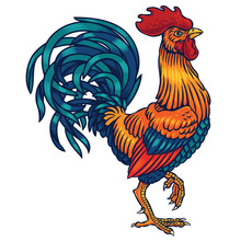 Vector Illustration Of A Rooster