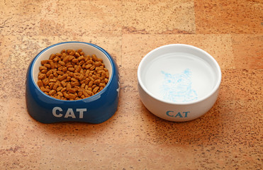 Dry cat food and water in bowl on brown floor