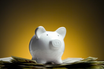 Wall Mural - Piggy Bank Standing on Money