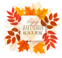 Aufkleber - Autumn Sales Banner With Colorful Leaves. Vector.