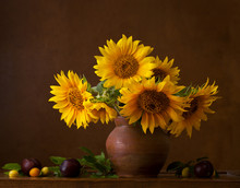 Bouquet Of Sunflowers In Old Clay Jug.