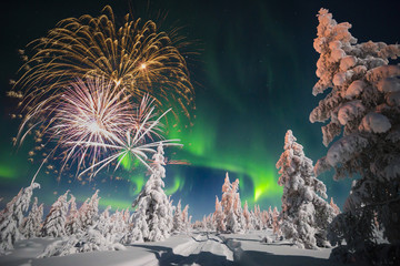 happy new year card with firework, forest and northern light.