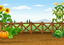 Farm Background With Various Plant