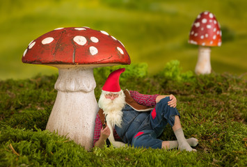 Lazy garden gnome under toadstool