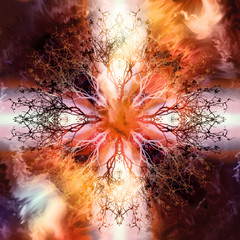 Fototapete - Beautiful ornamental mandala with tree pattern, symbol of life.