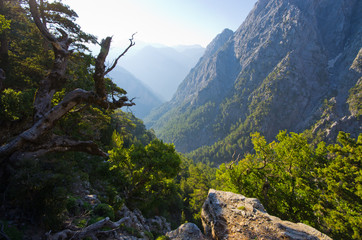 Wall Mural - Samaria Gorge, Crete, Greece