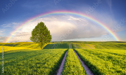 Zdjęcie XXL Tęcza nad wiosennym,zielonym polem