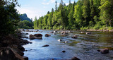 Fototapeta Zwierzęta - Salmon river landscape