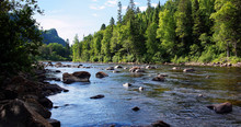 Salmon River Landscape