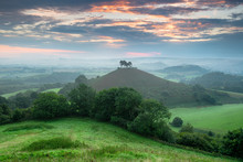 Colmer's Hill In Dorset