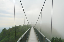 Mile High Bridge
