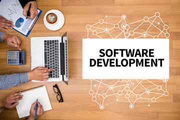 software development
