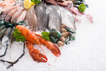 .Seafood Market Fresh Food Sea