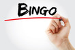 © dizain - Hand writing Bingo with marker, concept background