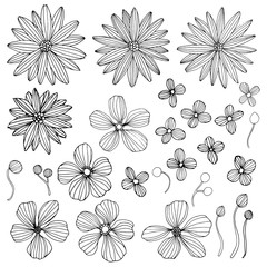 Sticker - Linear flowers - hand drawn set
