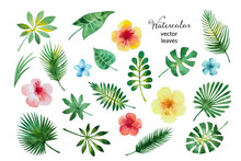 Set Of Watercolor Leaves And Flowers.